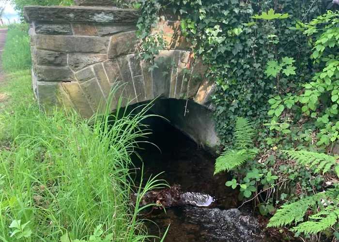 Appartement Burg Aue- Erzglueck - Familien - Im Gruenen - Zentral *