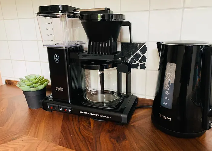 Burg Aue- Erzglueck - Familien - Im Gruenen - Zentral Aue (Saxony)