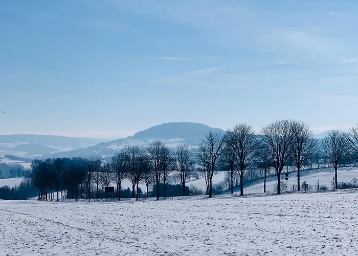 Appartement Burg Aue- Erzglueck - Familien - Im Gruenen - Zentral